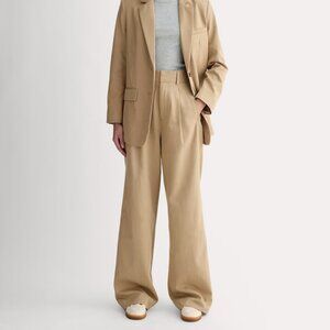 Everlane Women's Draper Pleated Pant in Buttersmooth in Ash Brown, Size 8